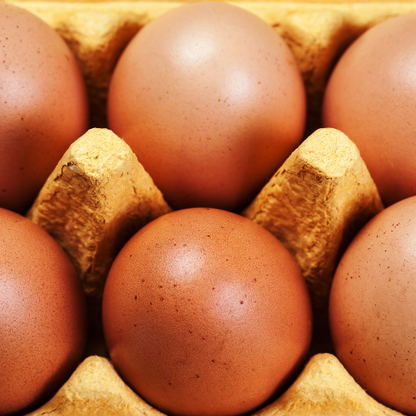 Pasture-Raised Brown Eggs (1 Dozen)