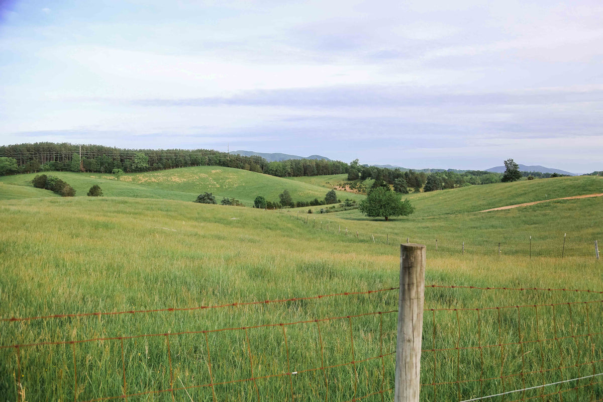 About Pure Grass Farm | Grass-Fed Pasture-Raised Farming in Troutville, VA